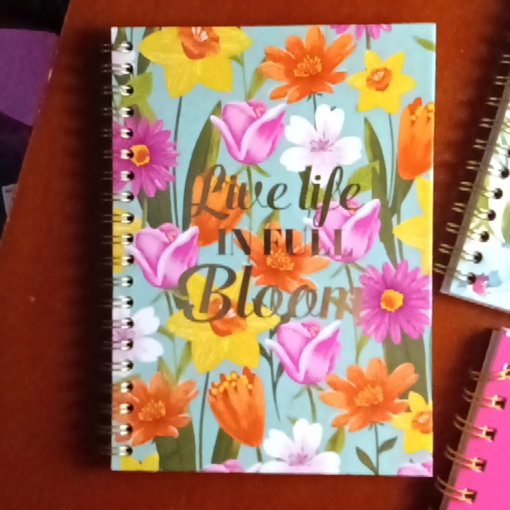 3 PACK OF NOTEBOOKS - Picture 2 of 7